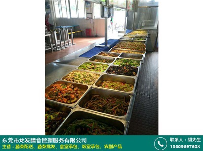如何打造舒适愉悦的学校餐饮环境
