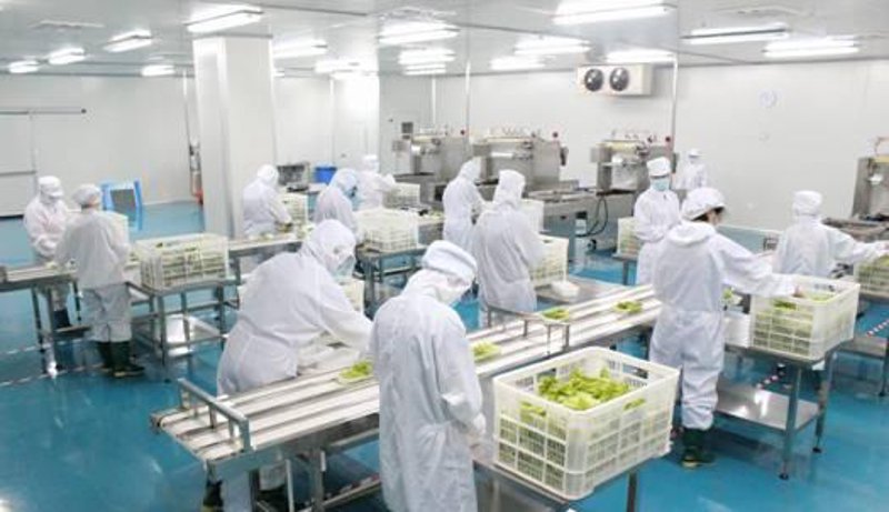 餐饮行业的精细化管理：提升竞争力的钥匙